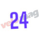 камера 24