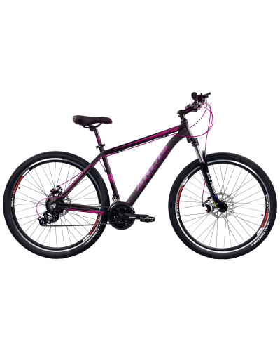 29 MTB AL "GTA"