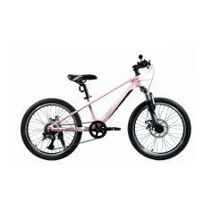 20 MTB MG "CROSS"