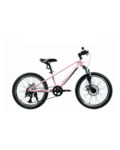 20 MTB MG "CROSS"