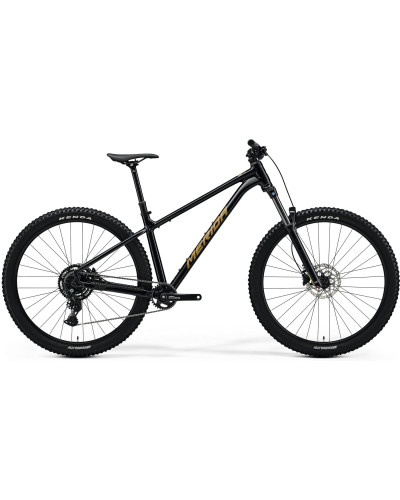 Велосипед MERIDA BIG.TRAIL 300 II1 M, BLACK(BROWN)