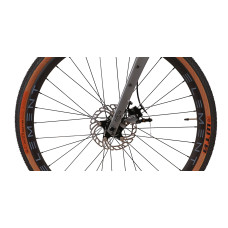 CYCLONE GTX (2025)