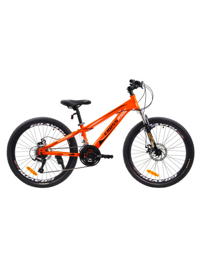 24 MTB ST "SKYLINE"