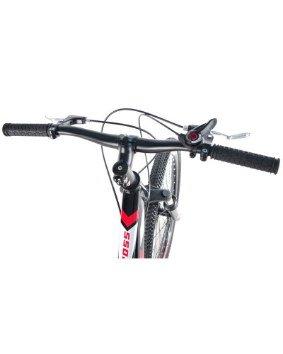 24 MTB AL CROSS