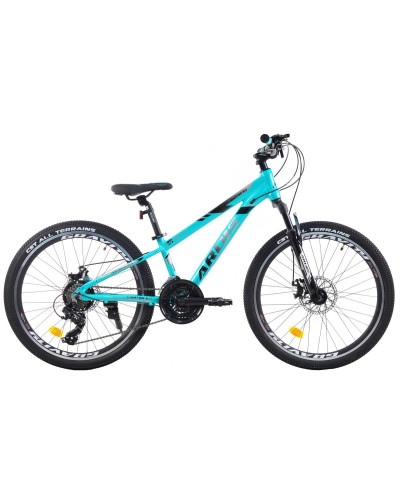 Велосипед ARDIS 24 MTB AL "CARTER 2.0" Сірий рама 11