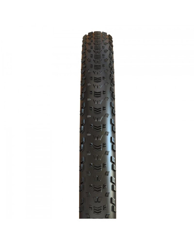 Покришка 29 x2.25 (57-622) Maxxis ASPEN (EXO/TR) Foldable 120tpi