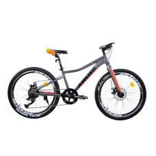 ВЕЛОСИПЕД ARDIS 24 MTB AL "SKIF" сірий