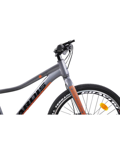 ВЕЛОСИПЕД ARDIS 24 MTB AL "SKIF" сірий