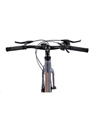 ВЕЛОСИПЕД ARDIS 24 MTB AL "SKIF" сірий
