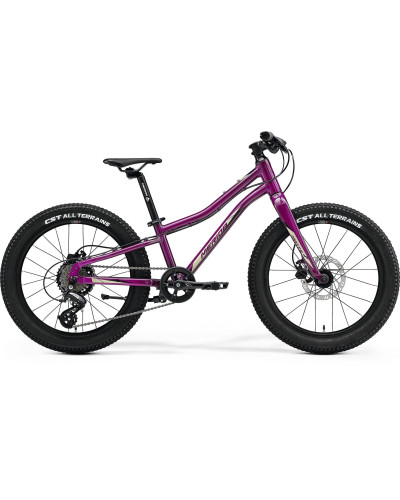 Велосипед MERIDA MATTS J.20+,UN(10) ,PURPLE(BLACK/CHAMPAGNE)