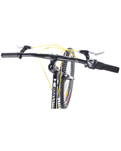 24 MTB AL RAMZY