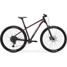 Велосипед MERIDA BIG.NINE 200 IV1 M,GLITTER CHERRY(GREY)