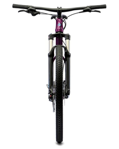 Велосипед Merida Big.Nine 200 Purple (Blue)
