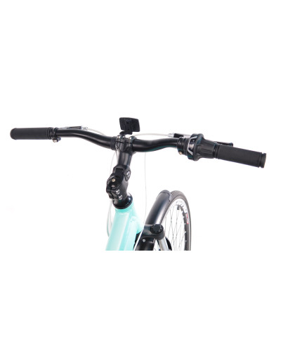 700C CTB AL "ELITE LADY"