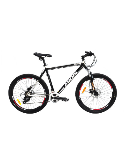 26 MTB AL "ION"