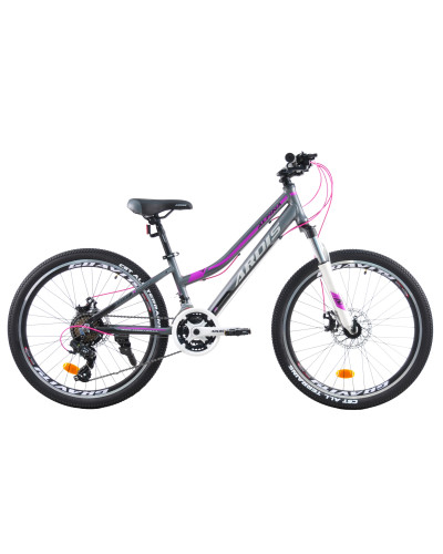 24 MTB AL "ALPINA"