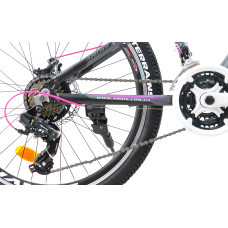 24 MTB AL "ALPINA"