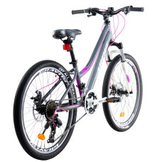 24 MTB AL "ALPINA"