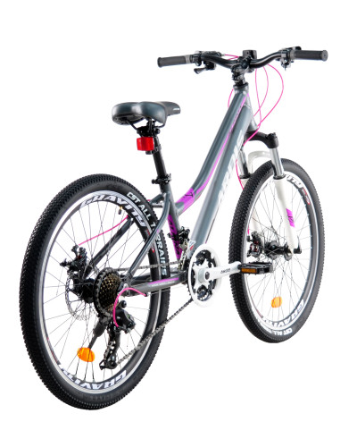 24 MTB AL "ALPINA"