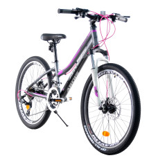 24 MTB AL "ALPINA"