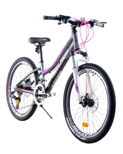 24 MTB AL "ALPINA"