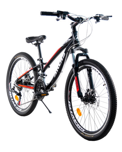 24 MTB AL "FLEX"