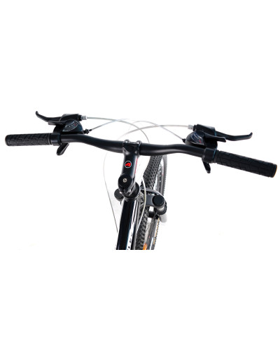 24 MTB AL "FLEX"