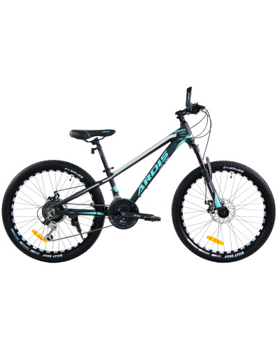 24 MTB AL "BULL"