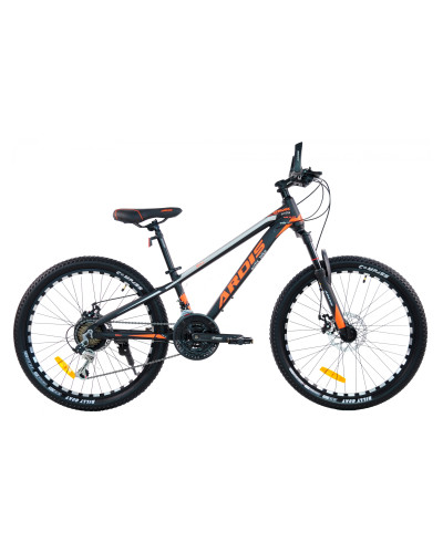 24 MTB AL "BULL"
