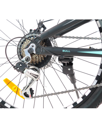 24 MTB AL "BULL"