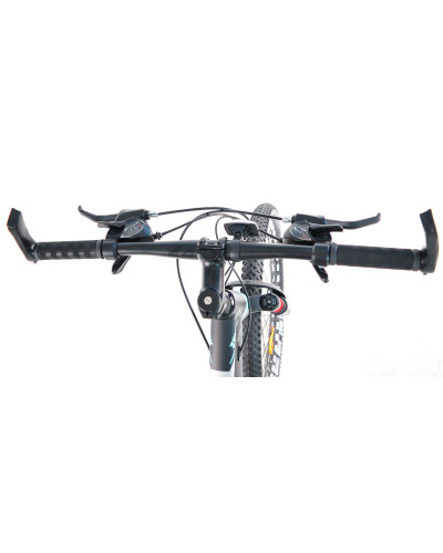 24 MTB AL "BULL"