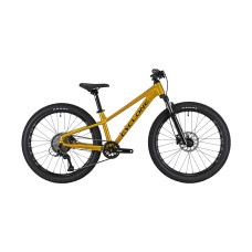 Велосипед 24 CYCLONE DREAM 24 (2025)