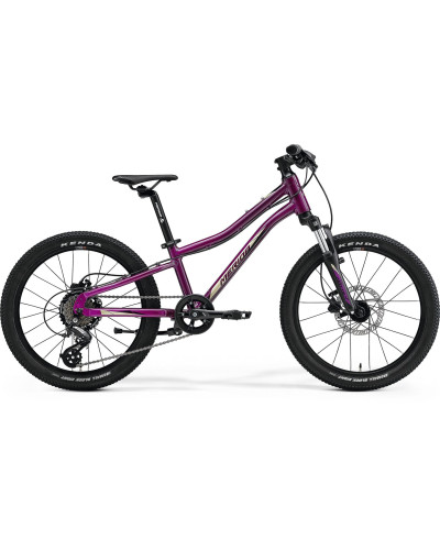 Велосипед MERIDA MATTS J.20,UN(10) ,PURPLE(BLACK/CHAMPAGNE) 22