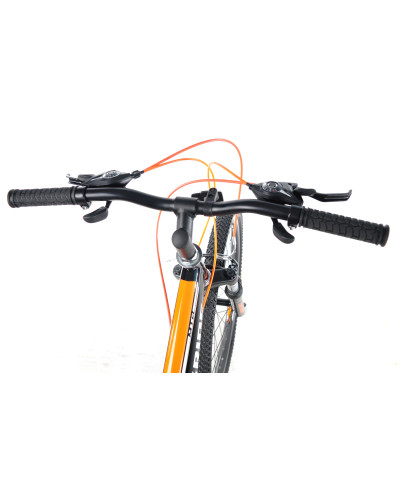 24 MTB ST "SHARK"