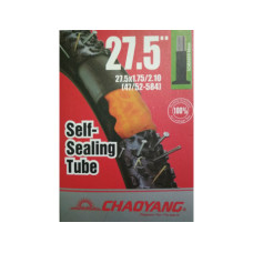 Камера 27.5 AV 48мм гель Chao Yang